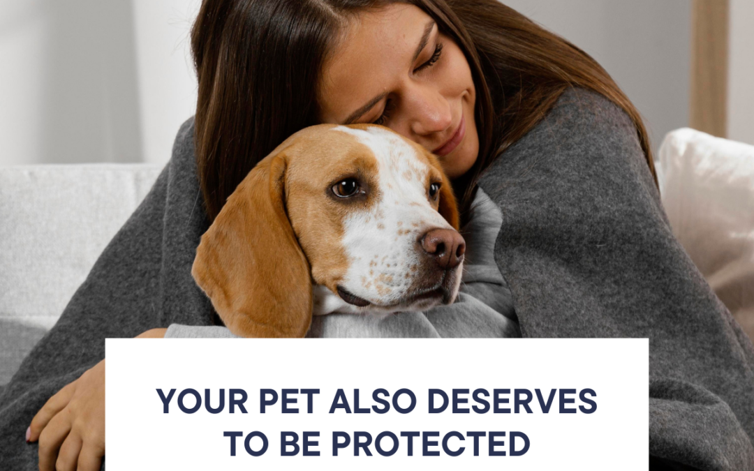 Your pet also deserves to be protected