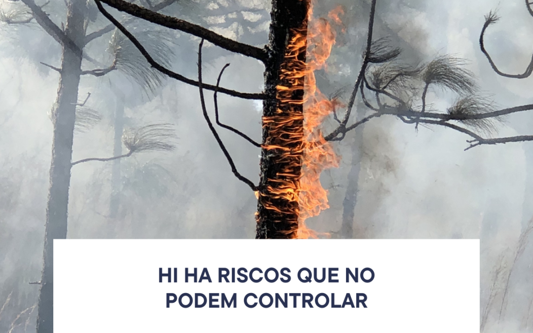Incendis: el que ningú t’explica sobre la teva assegurança (i que a Coyfer sí que t’expliquem)